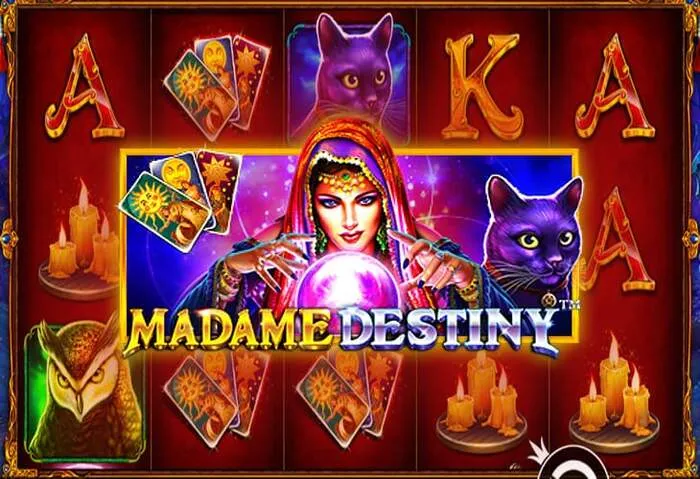 Download Allwinscasino mobile app for iOS and Android devices