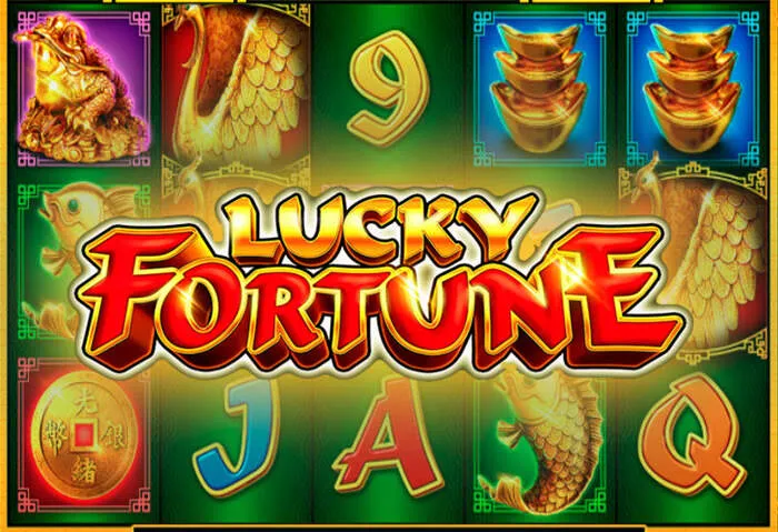 Players enjoying live dealer table games at the premium Allwinscasino Site.
